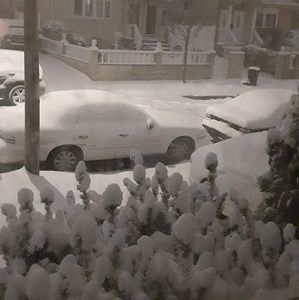 Meet your Posher, Rasheed